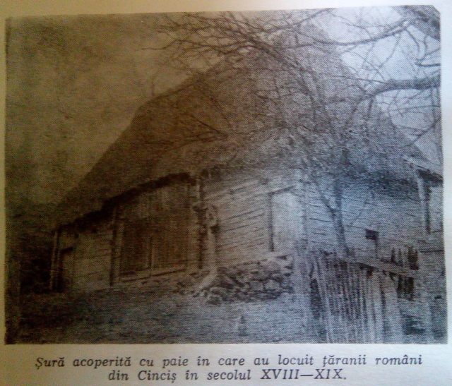 sura de paie din cincis